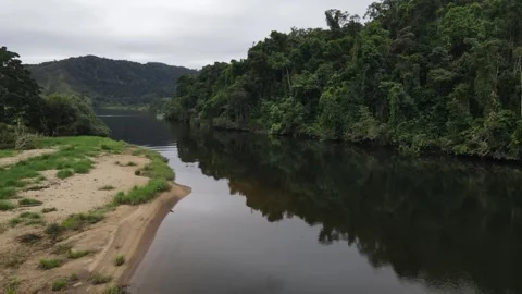 Daintree Forest Australia River Drone Footage Stock Footage 261558442