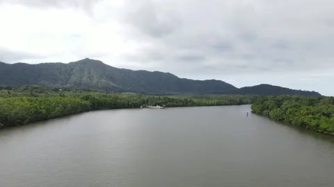 Daintree Forest River Ferry Drone Footage Stock Footage 261556090