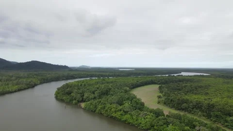 Daintree Forest River Ferry Drone Footage Stock Footage 261556857