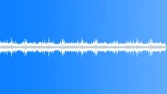 Daintree Rainforest Daytime Sound Effect