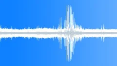 Daintree Rainforest Dusk Busy Sound Effect