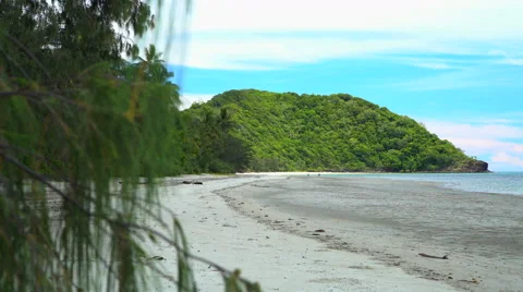 Daintree Rainforest tropical beach with sea sand and lush green foliage in Видео