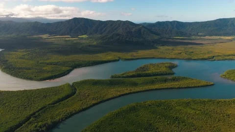 Daintree River flowing through Daintree Forest, 4K aerial landscape Stock Footage 139304641