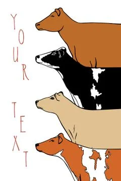 Dairy cattle illustration Illustrazione stock