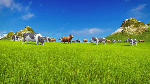 Dairy cows graze on alpine meadow Stock Illustration