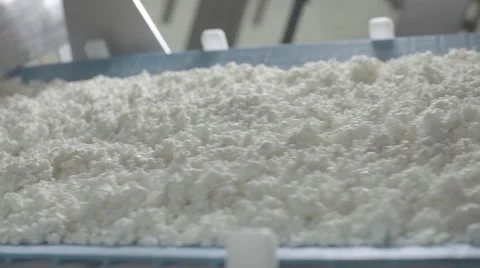 Dairy factory Stock Footage 67856653