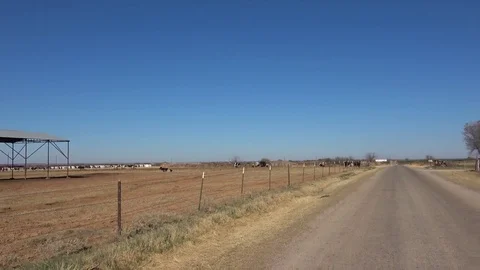 Dairy farm. Stock Footage 84998293