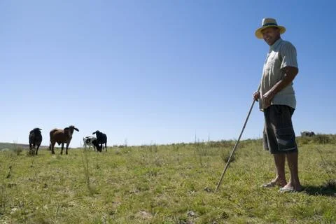 Dairy Farmer Stock Photos