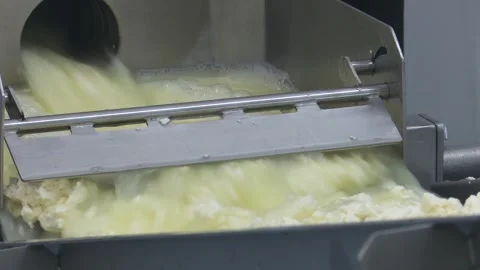 Dairy processing plant machinery separating curds and whey in production line 動画素材 337060769