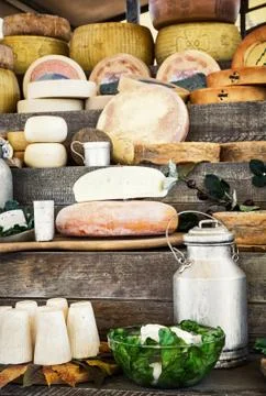 Dairy products and lettuce Stock Photos