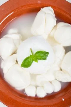 Dairy products Stock Photos