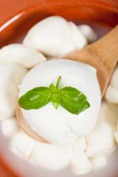 Dairy products Stock Photos