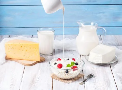 Dairy products Stock Photos