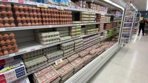 Dairy Section of Grocery Store - Eggs Stock Footage 229186616