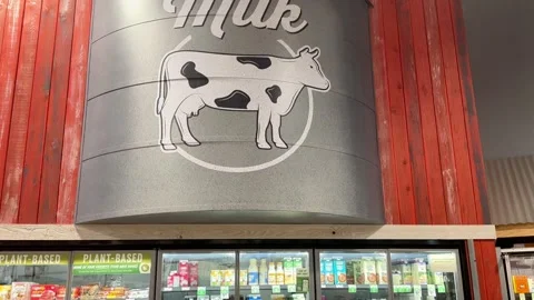 Dairy section in the grocery store Stock Footage 274028224