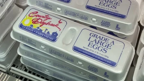 Dairy Section of Grocery Store - Styrofoam Egg Cartons Stock Footage 229186612