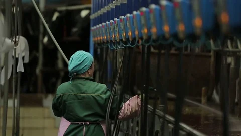 A dairymaid washes corral for cows Stock Footage 73947405
