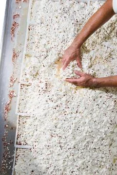 Dairyman put into the container same fresh cheese Stock Photos