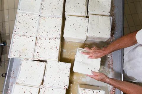 Dairyman put into the container same fresh cheese Stock Photos