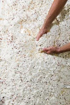 Dairyman put into the container same fresh cheese Stock Photos