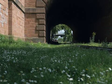 Daisies and the Locomotive Train in Frankfurt Stock Footage