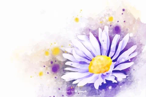 Daisies background 2 flower water color illustration Stock Illustration