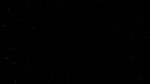 Daisies Background Stock-Footage 262339