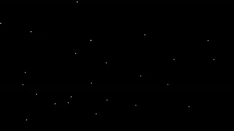 Daisies Background Video stock 264171