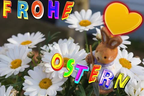 Daisies for Easter Stock Photos