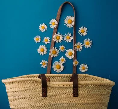 Daisies fall into a straw bag Stock Photos