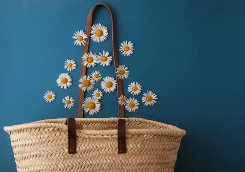 Daisies fall into a straw bag Stock Photos