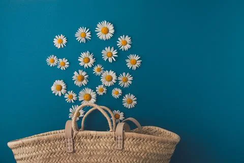 Daisies fall into a straw bag Stock Photos