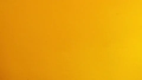 Daisies flat lay on yellow background. Stock Footage 156562521