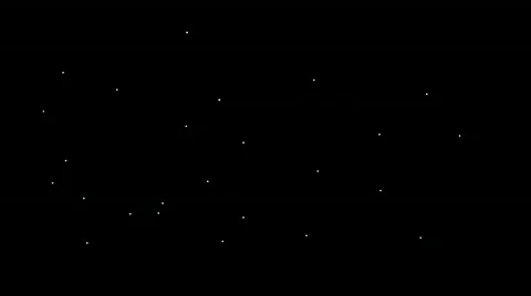 Daisies Stock-Footage 157122