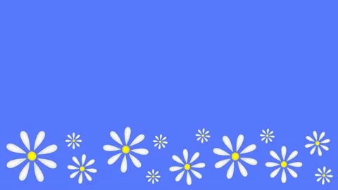 Daisies Stock Footage 151667263