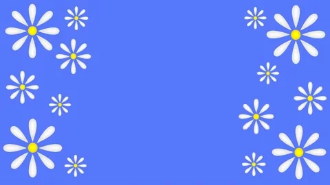 Daisies Stock Footage 151667277