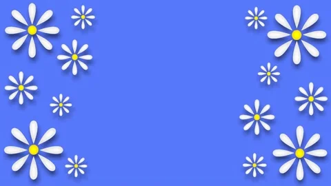 Daisies Stock Footage 151667282