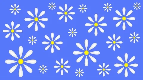 Daisies Stock Footage 151667311
