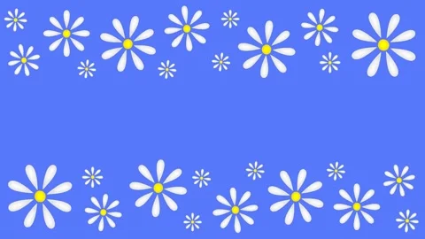 Daisies Stock Footage 151667332