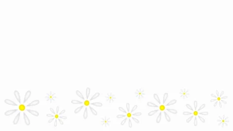 Daisies Stock Footage 151734325