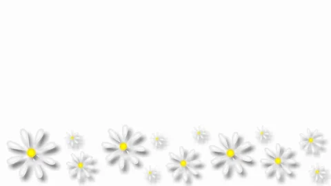 Daisies Stock Footage 151734330