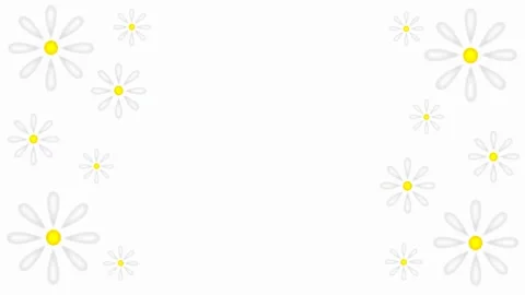 Daisies Stock Footage 151734332