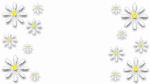 Daisies Stock Footage 151734346