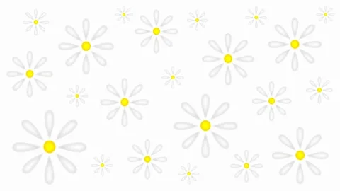 Daisies Stock Footage 151734350