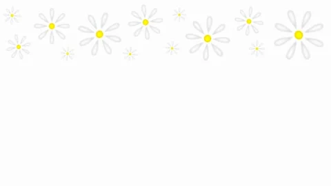 Daisies Stock Footage 151734351