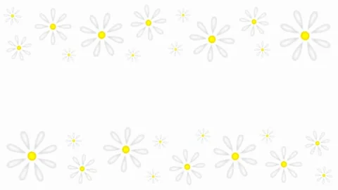 Daisies Stock Footage 151734361