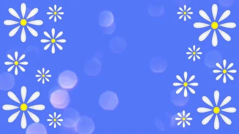 Daisies Stock Footage 152135757