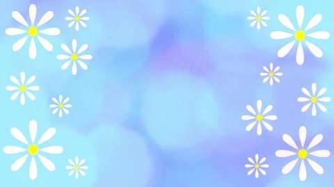 Daisies Stock Footage 152135831