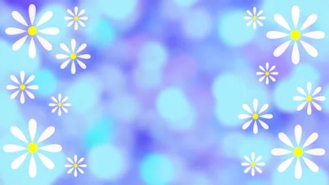 Daisies Stock Footage 152135901