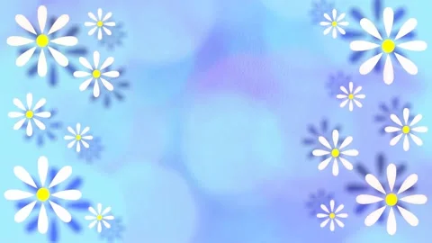 Daisies Stock Footage 152135942